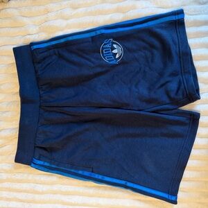 Adidas Men's Navy Blue Athletic Shorts